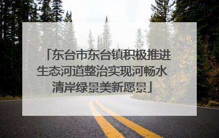 东台市东台镇积极推进生态河道整治实现河畅水清岸绿景美新愿景
