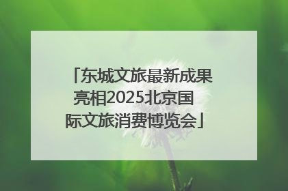 东城文旅最新成果亮相2025北京国际文旅消费博览会