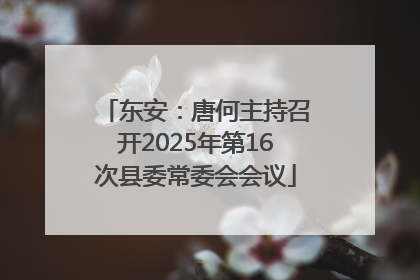 东安：唐何主持召开2025年第16次县委常委会会议
