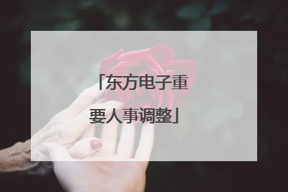 东方电子重要人事调整