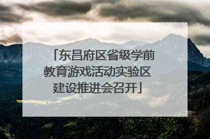 东昌府区省级学前教育游戏活动实验区建设推进会召开