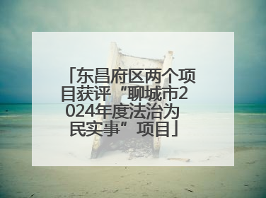 东昌府区两个项目获评“聊城市2024年度法治为民实事”项目
