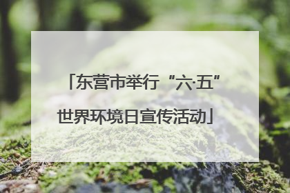 东营市举行“六·五”世界环境日宣传活动