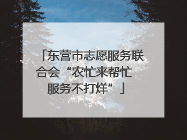 东营市志愿服务联合会“农忙来帮忙 服务不打烊”