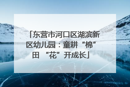 东营市河口区湖滨新区幼儿园：童耕“棉”田 “花”开成长