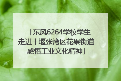 东风6264学校学生走进十堰张湾区花果街道感悟工业文化精神