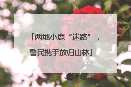 两地小鹿“迷路”，警民携手放归山林