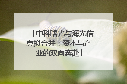 中科曙光与海光信息拟合并：资本与产业的双向奔赴