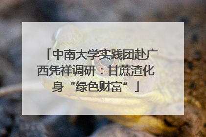 中南大学实践团赴广西凭祥调研：甘蔗渣化身“绿色财富”
