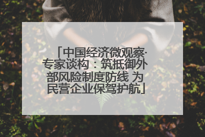 中国经济微观察·专家谈构：筑抵御外部风险制度防线 为民营企业保驾护航