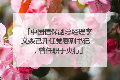 中国信保副总经理李文森已升任党委副书记，曾任职于央行