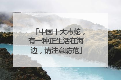 中国十大毒蛇，有一种正生活在海边，请注意防范