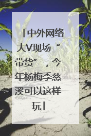 中外网络大V现场“带货”，今年杨梅季慈溪可以这样玩