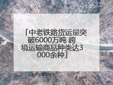 中老铁路货运量突破6000万吨 跨境运输商品种类达3000余种