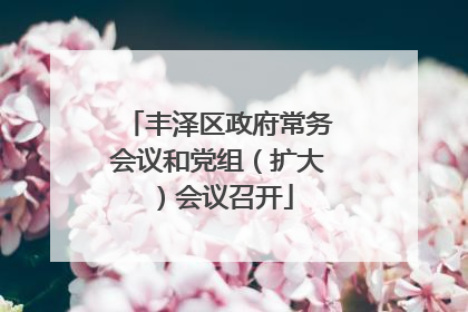 丰泽区政府常务会议和党组（扩大）会议召开