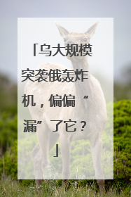 乌大规模突袭俄轰炸机，偏偏“漏”了它？