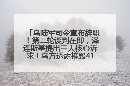 乌陆军司令宣布辞职！第二轮谈判在即，泽连斯基提出三大核心诉求！乌方透露摧毁41架俄战略轰炸机