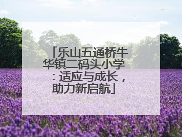 乐山五通桥牛华镇二码头小学：适应与成长，助力新启航