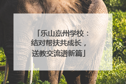 乐山嘉州学校：结对帮扶共成长，送教交流谱新篇