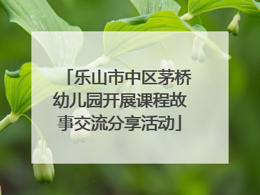 乐山市中区茅桥幼儿园开展课程故事交流分享活动