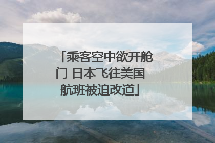 乘客空中欲开舱门 日本飞往美国航班被迫改道