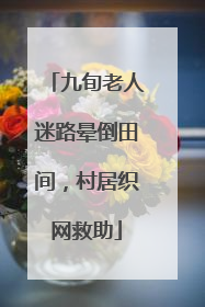 九旬老人迷路晕倒田间，村居织网救助