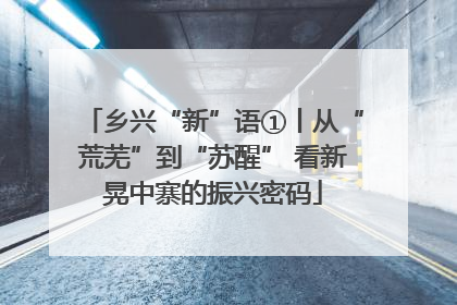 乡兴“新”语①丨从“荒芜”到“苏醒” 看新晃中寨的振兴密码