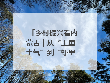乡村振兴看内蒙古｜从“土里土气”到“虾里虾气” 一田双收模式火出圈