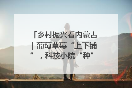 乡村振兴看内蒙古｜葡萄草莓“上下铺”，科技小院“种”出三倍效益