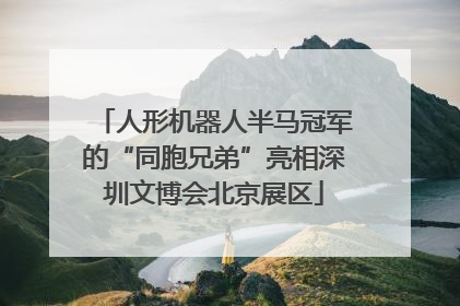 人形机器人半马冠军的“同胞兄弟”亮相深圳文博会北京展区