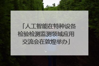人工智能在特种设备检验检测监测领域应用交流会在敦煌举办
