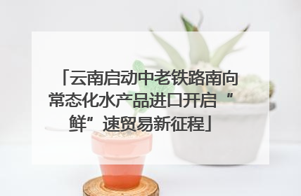 云南启动中老铁路南向常态化水产品进口开启“鲜”速贸易新征程