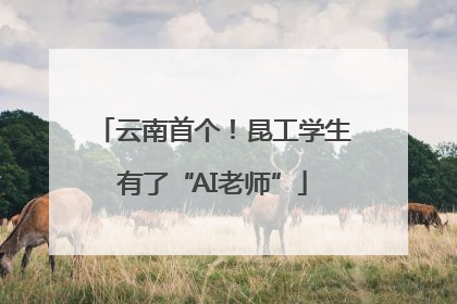 云南首个！昆工学生有了“AI老师”