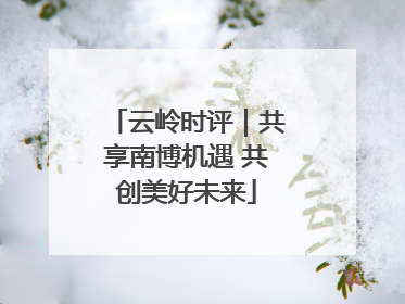 云岭时评｜共享南博机遇 共创美好未来