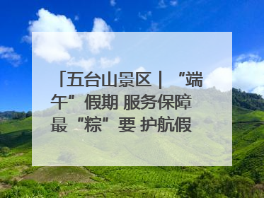 五台山景区｜“端午”假期 服务保障最“粽”要 护航假期“不打烊”