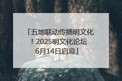 五地联动传播明文化！2025明文化论坛6月14日启幕
