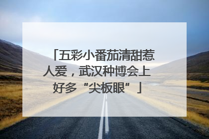 五彩小番茄清甜惹人爱，武汉种博会上好多“尖板眼”
