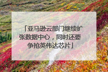 亚马逊云部门继续扩张数据中心，同时还要争抢英伟达芯片