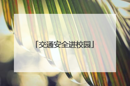 交通安全进校园