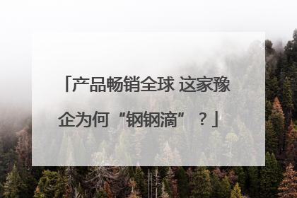 产品畅销全球 这家豫企为何“钢钢滴”？