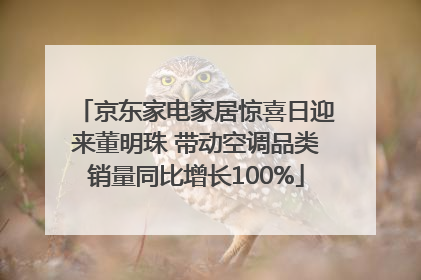 京东家电家居惊喜日迎来董明珠 带动空调品类销量同比增长100%