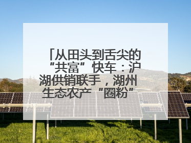 从田头到舌尖的“共富”快车：沪湖供销联手，湖州生态农产“圈粉”大上海