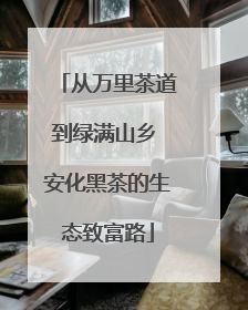 从万里茶道到绿满山乡 安化黑茶的生态致富路