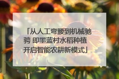 从人工弯腰到机械驰骋 即墨蓝村水稻种植开启智能农耕新模式
