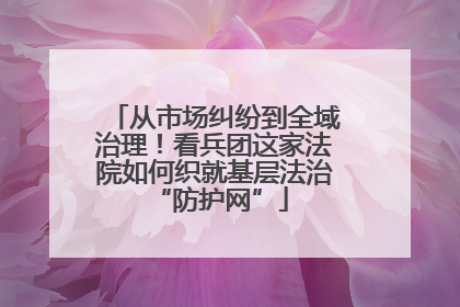 从市场纠纷到全域治理！看兵团这家法院如何织就基层法治 “防护网”