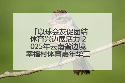 以球会友促团结 体育兴边展活力 2025年云南省边境幸福村体育嘉年华三人篮球赛圆满收官