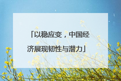 以稳应变，中国经济展现韧性与潜力