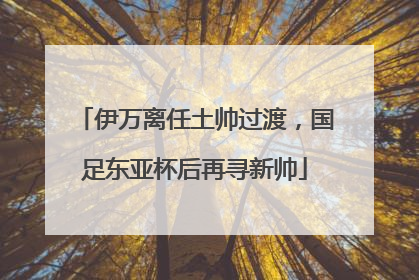 伊万离任土帅过渡，国足东亚杯后再寻新帅