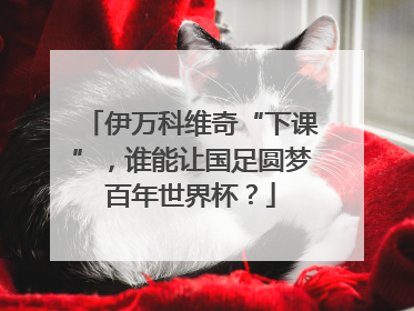 伊万科维奇“下课”，谁能让国足圆梦百年世界杯？