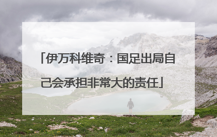伊万科维奇：国足出局自己会承担非常大的责任